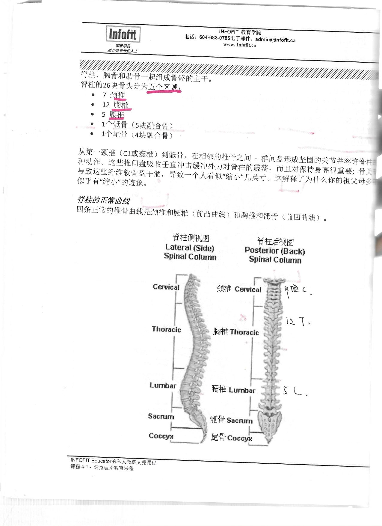 第 33 頁