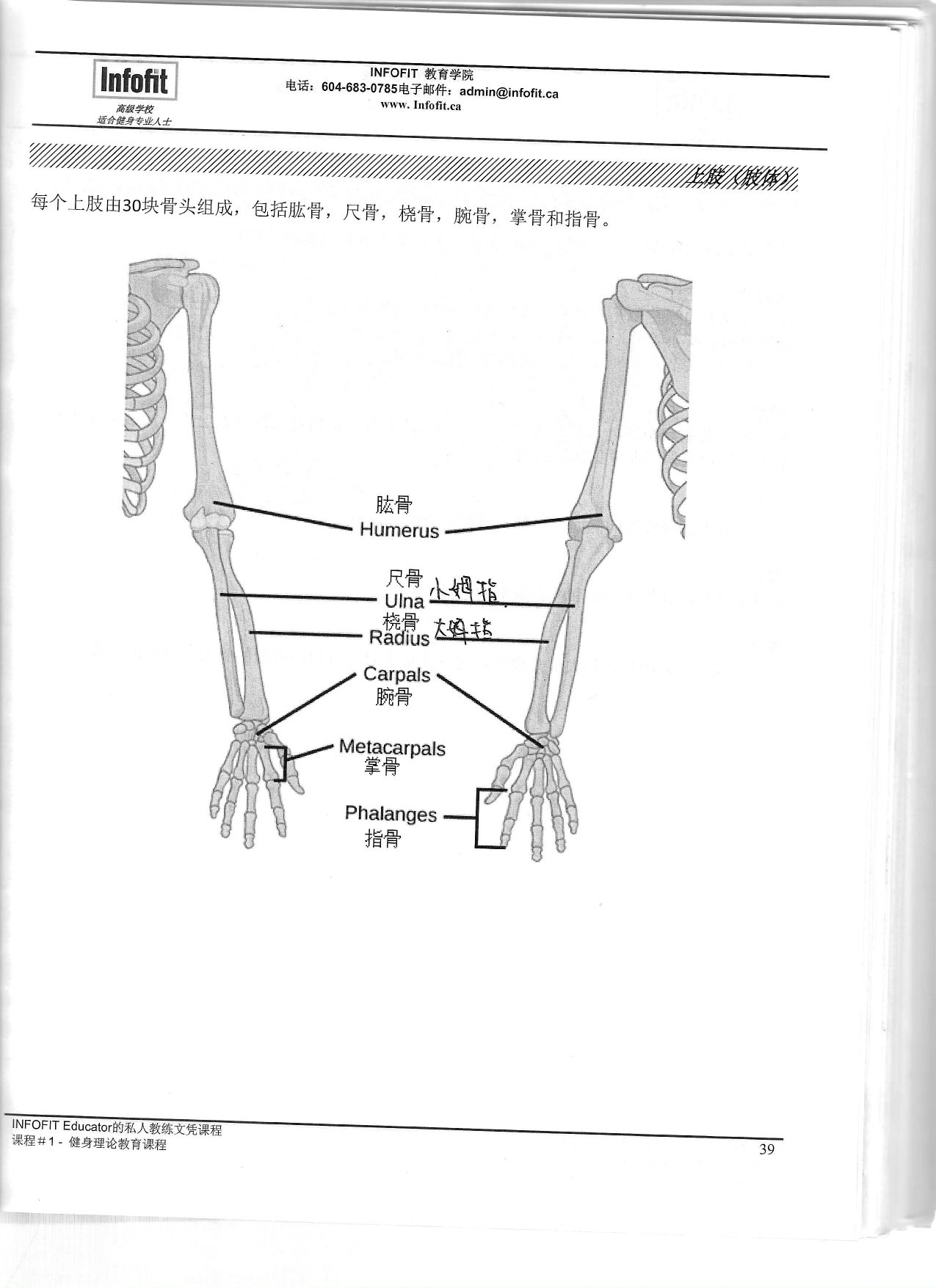 第 36 頁