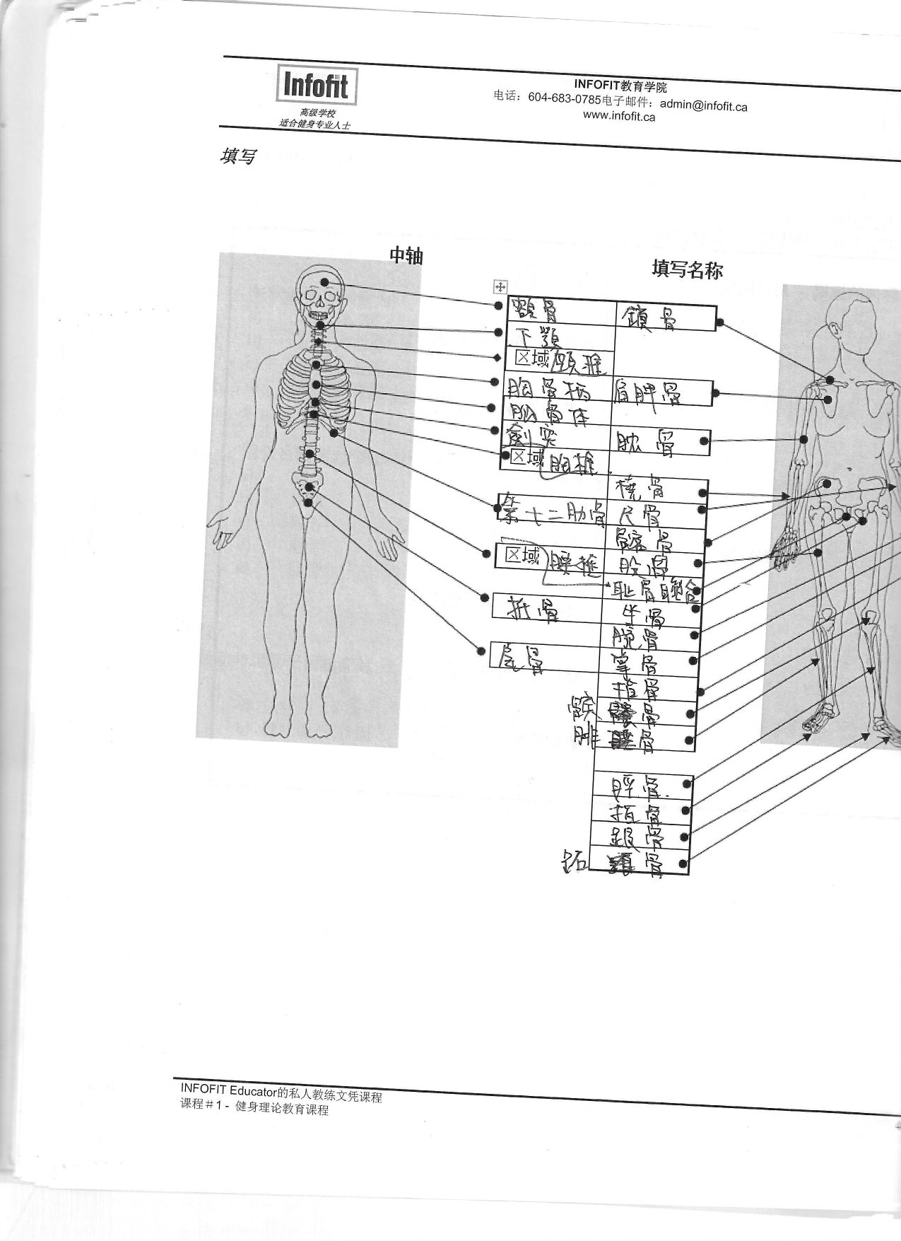 第 43 頁