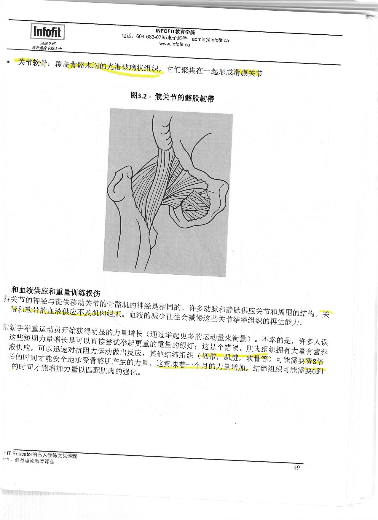 第 46 頁