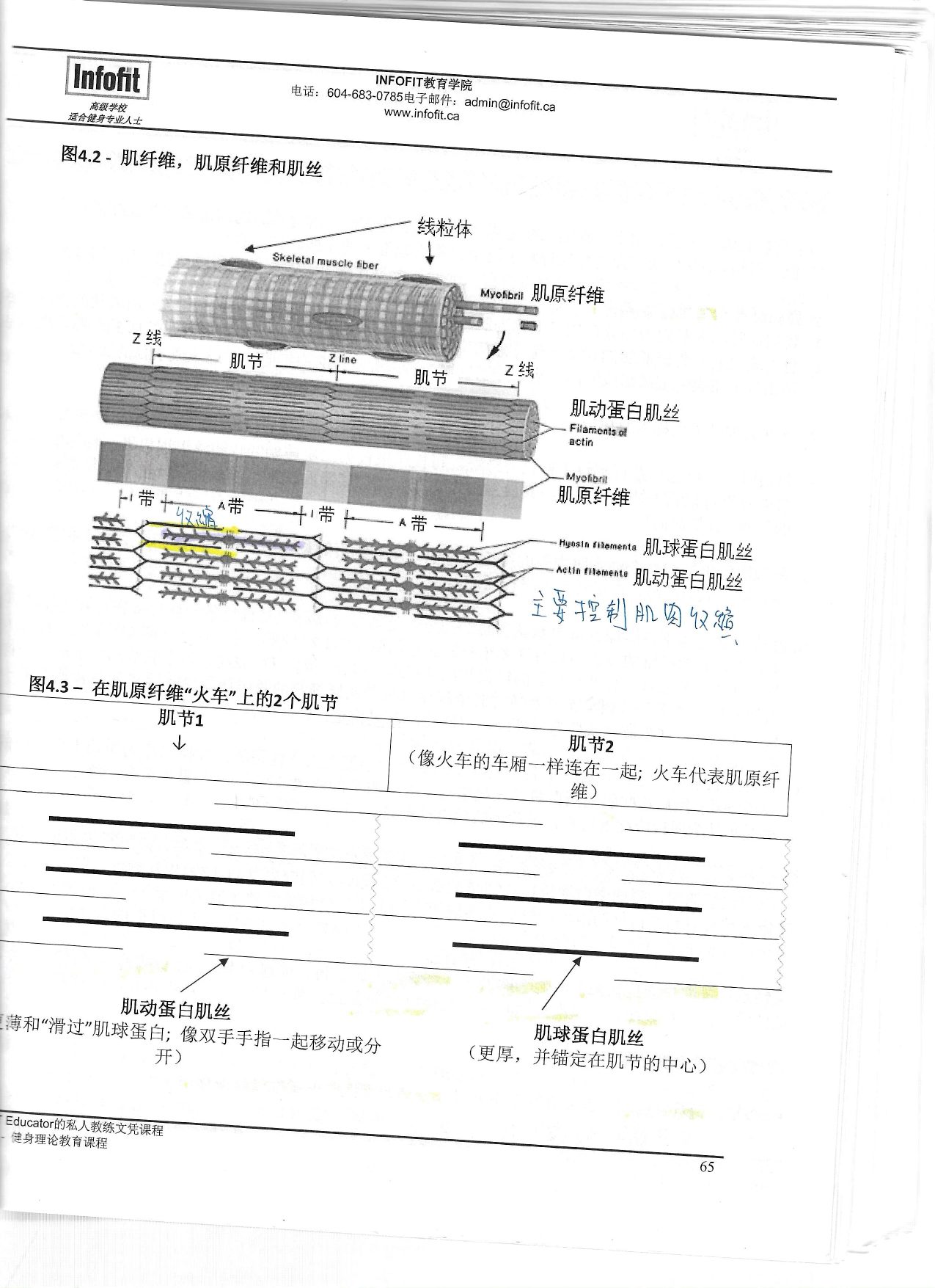 第 63 頁