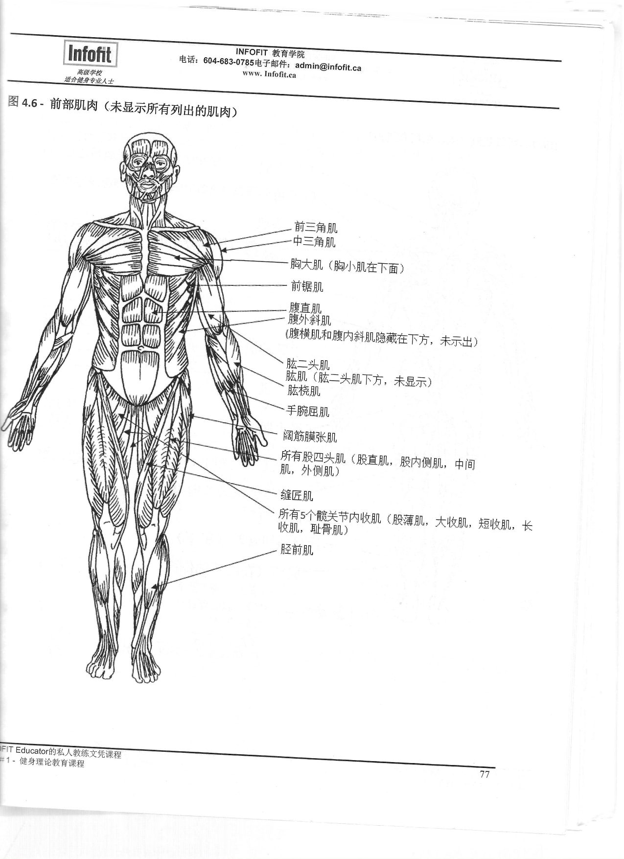 第 75 頁